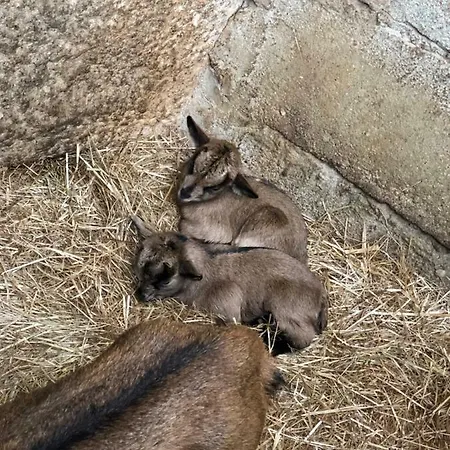 Ternaldo & Relax Lantgård