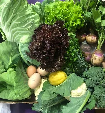 Ternaldo & Relax * Arco de Baulhe