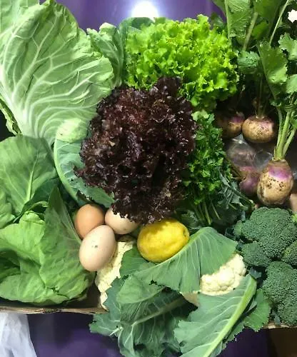 Ternaldo & Relax * Arco de Baulhe