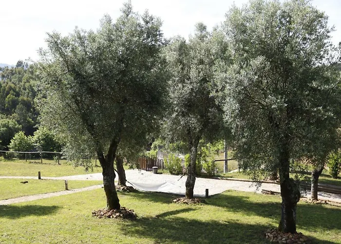 Ternaldo & Relax Κατάλυμα σε φάρμα Arco de Baulhe